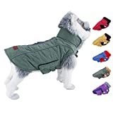 ThinkPet Dog Cold Weather Coats - Cozy Waterproof Windproof Reversible Winter Dog Jacket, Thick Padded Warm Coat Reflective Vest Clothes for Puppy Small Medium Large Dogs S Green