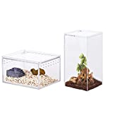 2 Pack Acrylic Reptile Terrarium Insect Tarantula Enclosure Tank Snail Spider Habitat Cage Mini Critter Keeper Insect Carrier Transparent Reptile Isopods Lizards Roach Invertebrates Insect Feeding Box