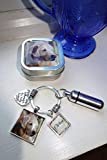 Pet Memorial Key Ring with Custom Photo and Cremation Urn, in matching Gift Tin Loss of Cat, Loss of Dog Memory and Remains Vial, Ash Container