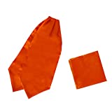 Orange Ascot Tie For Men Cravats Hanky Satin Solid Self Vintage Cravat Scarf Handkerchief Graduation Dan Smith Drc1E01R Orange Red