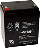 CASIL CA-1240 12V 4AH Security Alarm Battery Replaces 4Ah ADI Ademco 467