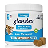 Vetnique Labs Glandex Anal Gland Soft Chew Treats with Pumpkin for Dogs Digestive Enzymes, Probiotics Fiber Supplement for Dogs Boot The Scoot (Peanut Butter Chews, 60ct)