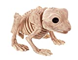 Crazy Bonez Skeleton Frog Bonez