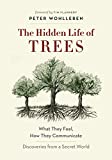 The Hidden Life of Trees: What They Feel, How They Communicateâ€”Discoveries from A Secret World (The Mysteries of Nature Book 1)