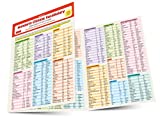 Mandarin Chinese Vocabulary Language Study Card: Essential Words and Phrases for AP and HSK Exam Prep (Includes Online Audio)