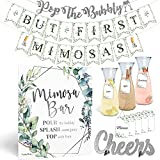 Elegant Mimosa Bubbly Bar Kit - Black and White Champagne Brunch Decorations for Birthday Galentine's Day Bridal Brunch Baby Shower Supplies Red Wine Women Adult Games, Silver Bubble Banner Sign (Red)