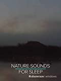 Nighttime Nature Sounds for Sleep 9 Hours