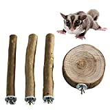 NEOUZA Sugar Glider Cage Stand Pole and Platform Made of Natural Eucalyptus,Molar Paw Grinding Standing Climbing Toy