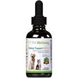 Pet Wellbeing Kidney Support Gold for Dogs - Vet-Formulated - Supports Healthy Kidney Function in Dogs - Natural Herbal Supplement 2 oz (59 ml)