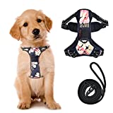 SUPPETS No Pull Dog Harness with Leash Reflective Padded Pet Vest Adjustable Soft Puppy Harness with Easy Control Handle for Dogs and Cats, Peony,(XXXS-Size,Neck Girth: 7.5"-8.5",Chest Girth: 9.5")