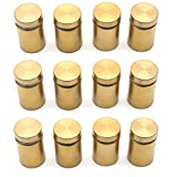 Antrader 12-Pack 3/4" x 1-1/5" Stainless Steel Glass Standoff Mounts, Wall Standoffs Advertising Nails Hardware, Polished Gold