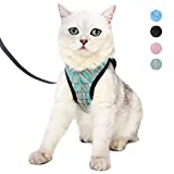 Heywean Cat Harness and Leash - Ultra Light Escape Proof Kitten Collar Cat Walking Jacket with Running Cushioning Soft and Comfortable Suitable for Puppies Rabbits