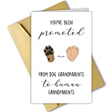Funny Pregnancy Announcement for Grandparents, Cute Pregnancy Revel Card for Grandparents, Promoted from Dog Grandparents To Human Grandparents
