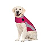 Thundershirt Apparel clothing Thundershirt Dog Anxiety Jacket, Pink, X Large 65-110 lbs US