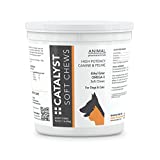 Catalyst Omega 3 Fish Oil Soft Chews for Dogs & Cats - Skin and Coat Supplement - 60 Count - Cheese Flavor