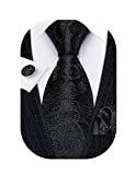 Barry.Wang Mens Paisley Tie Silk Woven Solid Black Floral Wedding Formal Business Necktie and Handkerchief Cufflinks