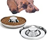 2 Puppy Bowl Puppy Feeding Bowls for Small Dogs whelping Box Water Weaning Bowls