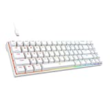 DREVO Calibur V2 TE RGB 60% Wired Mechanical Gaming Keyboard, 71-Key Small Compact, Work for PC/Mac, Detachable USB Type-C, Outemu Brown Switch,White