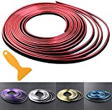 Car Interior Trim Strips-16.4ft/5M Universal Car Gap Fillers Automobile Moulding Line Decorative Accessories DIY Flexible Strip Garnish Accessory with Installing Tool (Red)