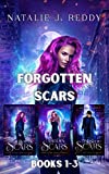 Scars Of Days Forgotten Series, Books 1-3: Forgotten Scars, Hidden Scars, & Twisted Scars