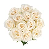 Colour Republic Fresh Cut Premium Ecuadorian Roses, Hand Crafted Floral Arrangement, 12 Stems, White