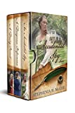 The Accidental Spy Series Complete Set: The complete trilogy of Christian romance novels