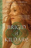 Brigid of Kildare: A Novel