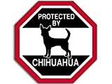 JR Studio 4x4 inch Octangular Protected by Chihuahua Sticker (Funny Dog Breed Love) Vinyl Decal Sticker Car Waterproof Car Decal Bumper Sticker