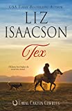 Tex: A Young Brothers Novel (Coral Canyon Cowboys Book 1)