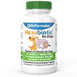 DrFormulas Probiotics for Dogs & Puppies Pets Diarrhea Treatment | Flavorless, Pre-dosed, 23 Premium Nexabiotic Probiotic for Pets with Saccharomyces Boulardii, Lactobacillus Acidophilus, 30 Doses