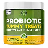 Probiotics for Dogs Enhanced with Digestive Enzymes + Prebiotics & Pumpkin | Dog Probiotics to Improve Digestion | Relieves Dog Diarrhea, Gas, Constipation, Upset Stomach | Allergy + Immune Support