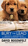 Bury the Lead (Andy Carpenter Book 3)