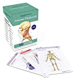 Anatomy Flashcards