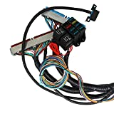 HPI 97-06 LS1 STANDALONE Wire Harness 4.8 5.3 6.0 VORTEC w/60A Relay (Drive by Cable) (RED/Blue PCM) & EV1 Fuel Injector CONNECTORS for Harness Swap (4L60E Drive by Cable)