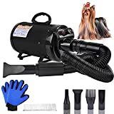 Dog Dryer, High Velocity Dog Hair Dryer, Dog Blow Dryer - 3.2HP Pet Blower Grooming Force Dryer with Heater, Stepless Adjustable Speed, 4 Different Nozzles, Comb & Pet Grooming Glove (Black)