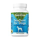 Animal Essentials SeaDent Kelp & Enzyme Plaque & Tarter Control for Dogs, 2.5 oz - Made in USA, Healthy Teeth & Gums