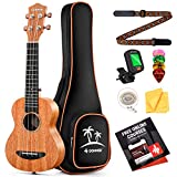 Donner Concert Ukulele Mahogany 23 Inch Ukelele Starter Bundle Kit with Free Online Lesson Gig Bag Strap Nylon String Tuner Picks Cloth DUC-1 Professional Ukalalee Yukalalee