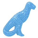 Nylabone Dental Dinosaur Puppy Chew Toy - Puppy Chew Toy for Teething - Puppy Supplies - Chicken Flavor, Small/Regular (1 Count)