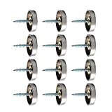 Alise 12 Pcs 1" Dia SUS 304 Stainless steel Decorative Mirror Screws Cap Cover Nails,Brushed Finish