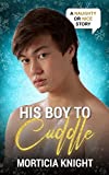His Boy to Cuddle: An M/M Daddy Holiday Romance (Naughty or Nice Season Two)