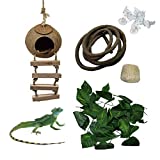 Tfwadmx Reptile Hide Coconut with Ladder,Natural Gecko Hanging Hideout Cave Hut Climbing Jungle Vine Flexible Reptile Leaves with Coconut Fiber for Turtle Beared Dragon Spider Lizard Frog Chameleon.