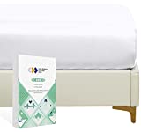 Luxuriously Soft Queen Fitted Sheet, 600 Sateen, 100% Cotton No-Pop Elastic for Snug Fit, Deep Pocket Bottom Sheet - Foot Side Indicator (Pure White)