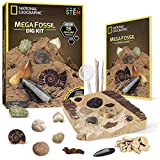 NATIONAL GEOGRAPHIC Mega Fossil Dig Kit – Excavate 15 Real Fossils Including Dinosaur Bones & Shark Teeth, Educational Toys, Great Gift for Girls and Boys, an AMAZON EXCLUSIVE Science Kit