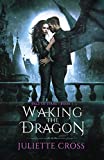 Waking the Dragon: An Enemies-to-lovers Dragon Romance (The Vale of Stars Book 2)