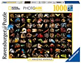 Ravensburger National Geographic Photo Ark: Amazing Animals 1000 Piece Jigsaw Puzzle for Adults – Every Piece is Unique, Softclick Technology Means Pieces Fit Together Perfectly, Multicolor, 15983