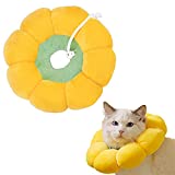 AWOOF Cat Cone Collar Soft Adjustable Cat Donut Cone Collar After Surgery Cute Cat Recovery Collar Sunflower Elizabethan Collar for Small Medium Large Kittens Cats to Prevent from Biting & Scratching