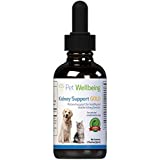 Pet Wellbeing Kidney Support Gold for Cats - Vet-Formulated - Supports Healthy Kidney Function in Cats - Natural Herbal Supplement 2 oz (59 ml)