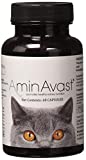 AminAvast Kidney Support Supplement for Cats and Dogs, 300mg - Promotes Natural Kidney Function - Aids in Health and Vitality of Aging Kidneys - Easily Administered - 60 Sprinkle Capsules
