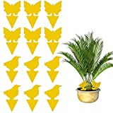 12 Pack Yellow Sticky Traps Gnat Killer for Indoor Dual-Sided Fruit Fly Trap and Fungus Gnat Traps Protect The Plants