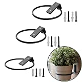 3 Pack Flower Pot Holder Ring Wall Mounted Set Metal Bracket Hook Hangers Plant Planter Pack Indoor Outdoor Hooks Iron Black Collapsible Hanging (4 inch)